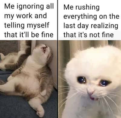 Two panel procrastination cat meme showing pre-deadline chill and last minute panic