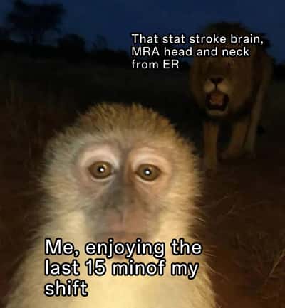 Monkey is cooked meme hit with emergency case near shift end