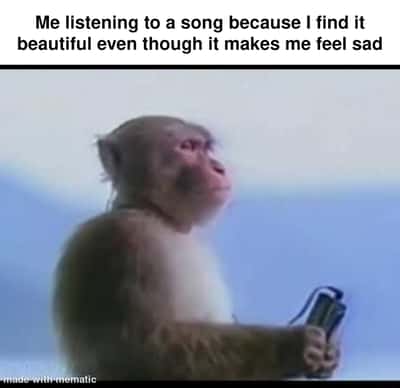 Monkey listening to music meme enjoying sad beautiful songs