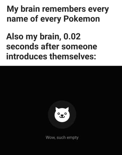 Brain meme remembers every pokemon name but instantly forgets new people's names