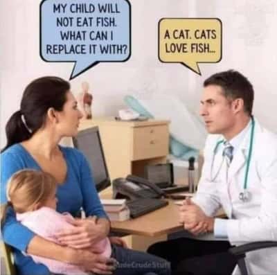 Doctor meme suggests replace fish with cat for kid