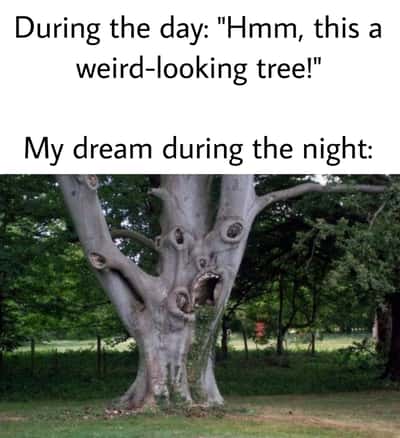 Scary face tree meme haunts your dream after you see it during day