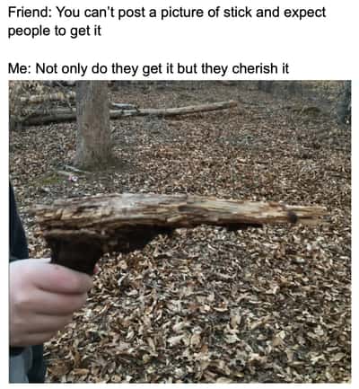 Stick meme posted and cherished by all