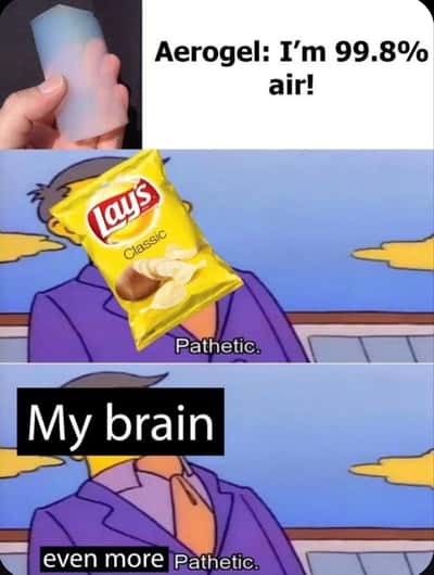 Simpsons Principal Skinner pathetic meme roasts aerogel and Lay's for being less air-filled than my brain