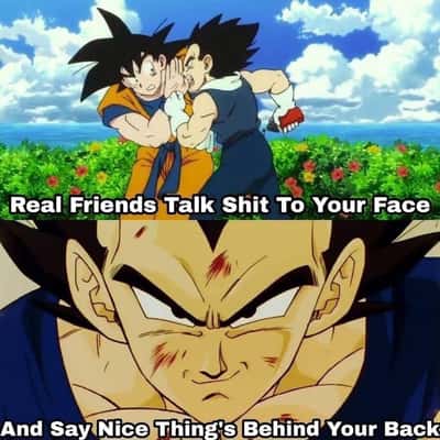 Goku and Vegeta meme talk shit to face praise behind back