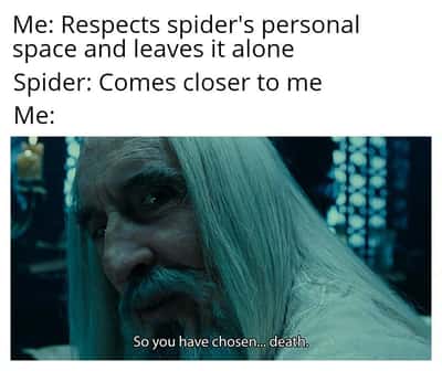 Saruman meme says so you have chosen death when spider comes closer after you leave it alone