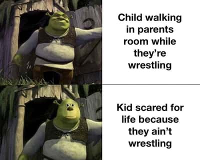Scared Shrek meme freezing after walking in on a deeply awkward situation