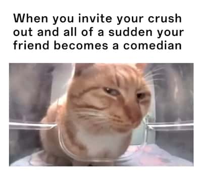 Side eye orange tabby cat meme silently seething at their friend ruining their date