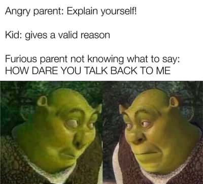Side eye shrek meme parents unable to counter kid valid excuses