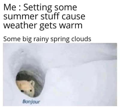 Bonjour hedgehog meme greets you on cold rainy days