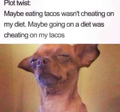 Squinting dog meme reversing diet and taco loyalty logic