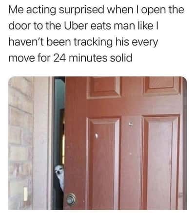 Suspicious chihuahua meme fake surprise for tracked food delivery driver