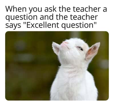 Suspicious sheep meme proud vibe after teacher praises your question