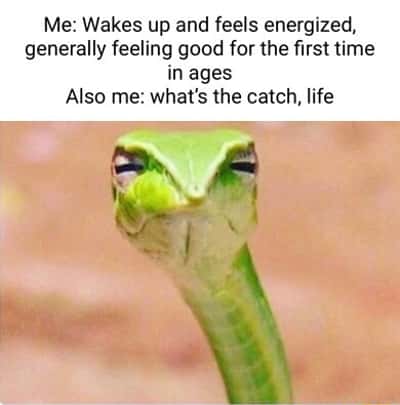 Suspicious snek meme doubting good mood fearing hidden bad luck