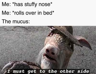 Mucus meme switches sides when you roll over