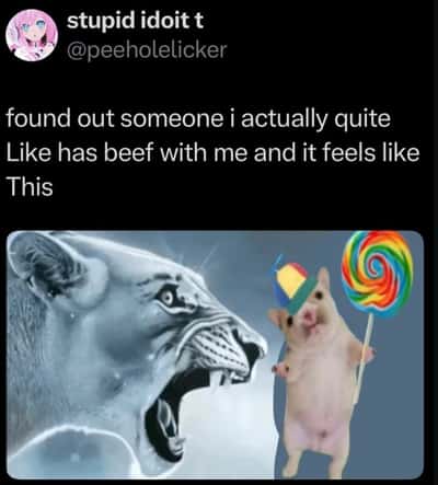 Tiger yell at monkey meme shocked liked person holds grudges
