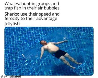 Random Memes