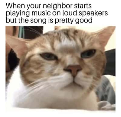 Deadpan unimpressed tabby cat meme tolerating the neighbor's surprisingly good loud music