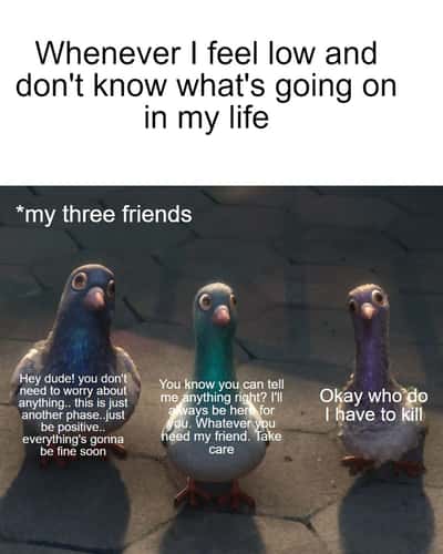 Random Memes