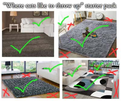 Relatable cat meme mapping all the exact spots cats always choose to throw up indoors