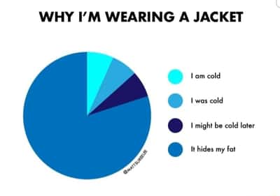 Pie chart meme shows jacket hides my fat