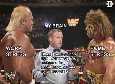 Brain meme refereeing work stress vs home stress fight