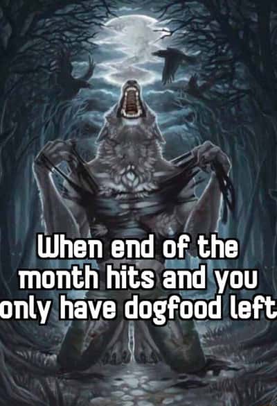 Wolf howling meme despair over only dogfood left month end