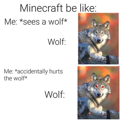 Calm to red-eyed Minecraft wolf meme turning hostile after one tiny accidental hit