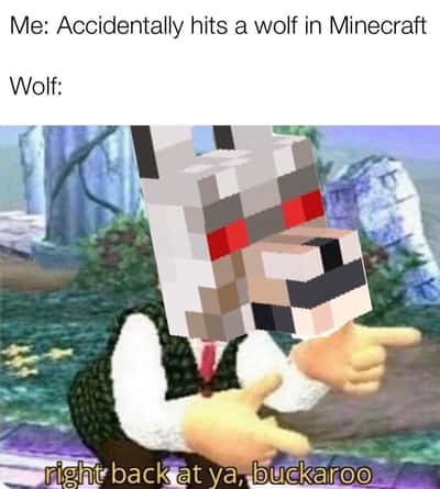 Sassy Minecraft wolf meme pointing both fingers right back at you
