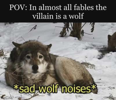 Sad dejected wolf meme fed up with being the villain in every fable