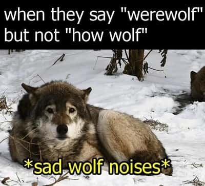 Sad dejected wolf meme making soft sad wolf noises over a dumb word pun