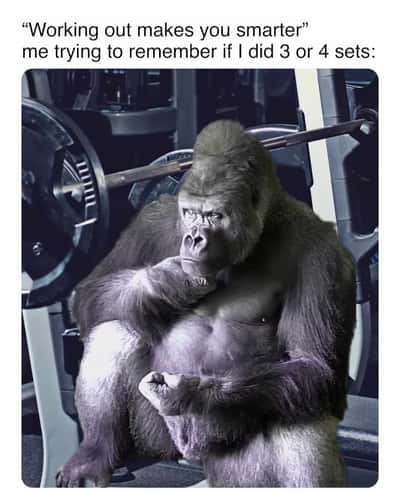 Gorilla meme confused trying to remember if he did 3 or 4 workout sets