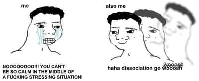 Random Memes
