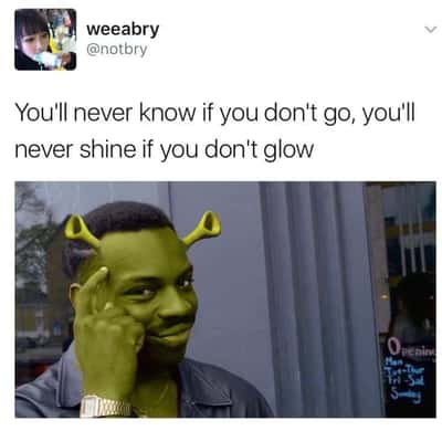 You can't if you don't meme with shrek green guy pointing at head
