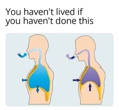 Breathing diagram meme says you haven't lived if you haven't done this