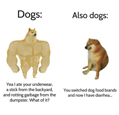 Swole Doge and crying Cheems dog meme showing every dog's two opposite personalities