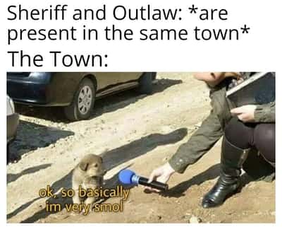Puppy meme interviewed saying it is very small when sheriff and outlaw are in same town