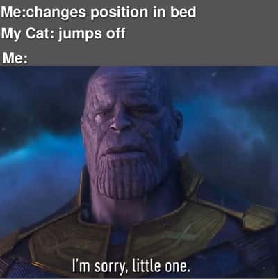 Random Memes