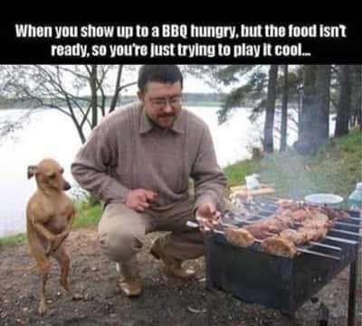 Dog waiting for BBQ meme hungry dog pretending calm beside grill