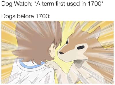 Dog watch meme staring at man before 1700