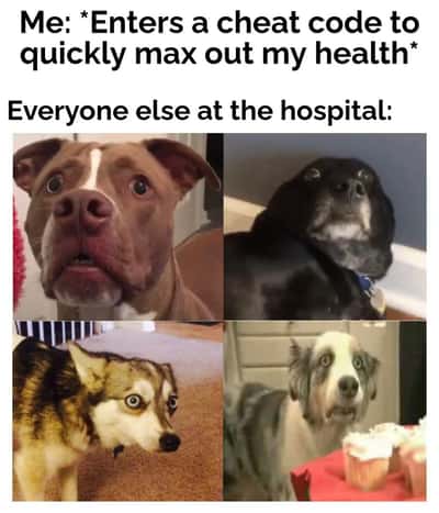 Shocked hospital dogs meme react to max health cheat code
