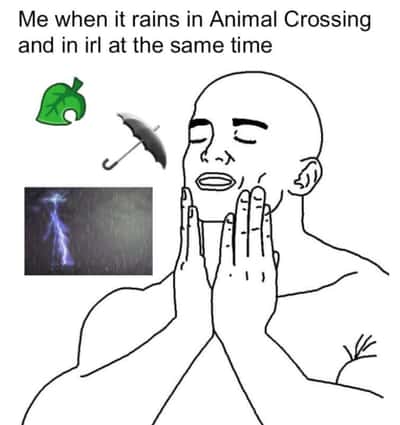 Hands on face meme celebrating rain sync in animal crossing and irl
