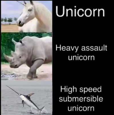Funny unicorn meme with silly names