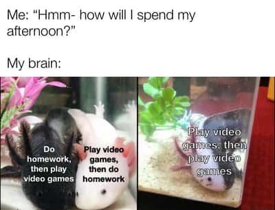 Axolotl meme choosing to play video games all afternoon