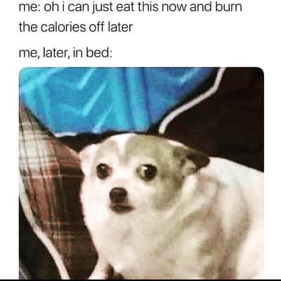 Random Memes