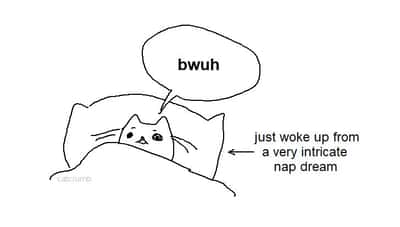 Cat meme says bwuh after waking from nap dream
