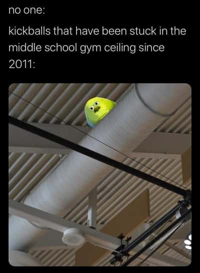 Kickball meme stuck in middle school gym ceiling
