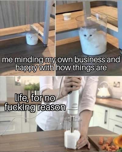 White cat meme getting blended by life for no reason