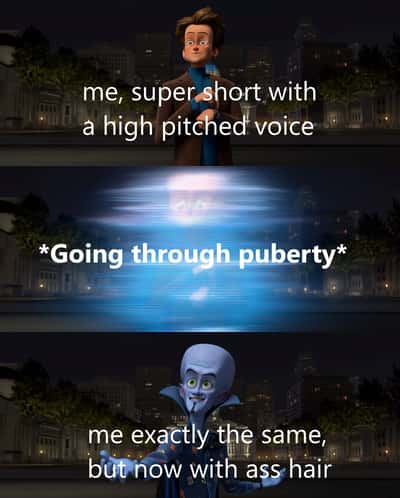 Random Memes
