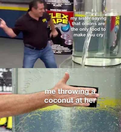 Flex tape meme throwing coconut at sister to make her cry